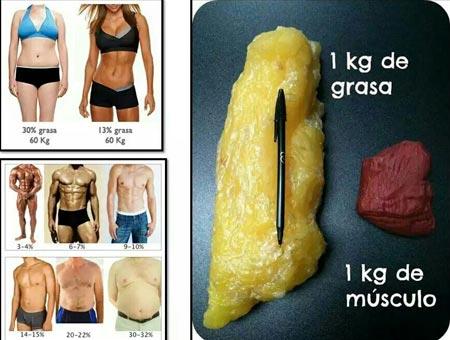 Errores en las dietas que impiden perder peso rápido Errores en las dietas que impiden perder peso rápido