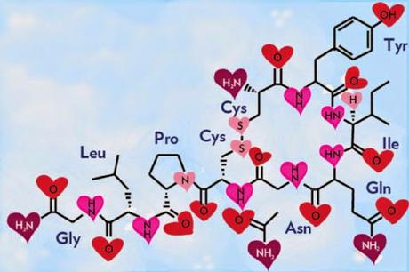 La oxitocina, de hormona del amor a ¿tratamiento de la obesidad?