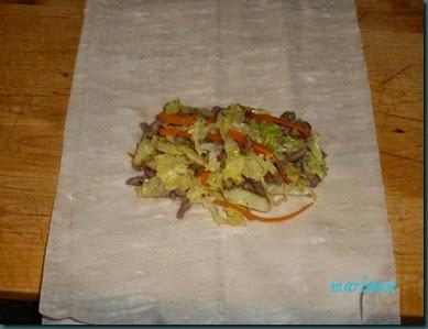 rollitos primavera5 copia rollitos primavera5 copia