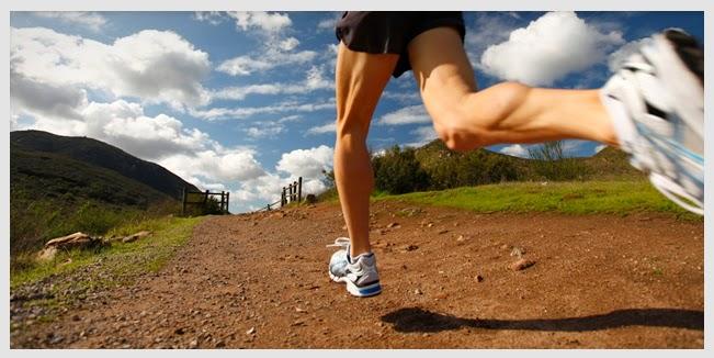 La Tirada Larga en la Preparación de una Maratón. La Tirada Larga en la Preparación de una Maratón.