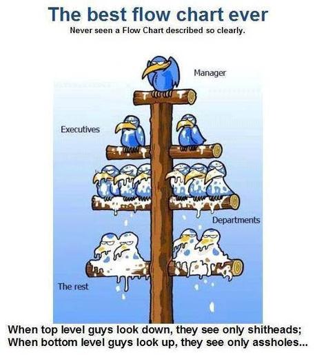 Por qué la mitad de mis amigos quiere matar a su jefe (P1) Por qué la mitad de mis amigos quiere matar a su jefe (P1)