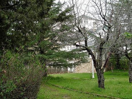 Sanatorio de Marina - Los Molinos (3)