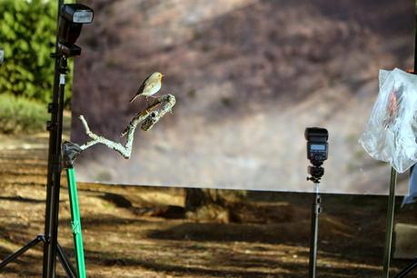 Fotografía de alta velocidad making-of Fotografía de alta velocidad making-of