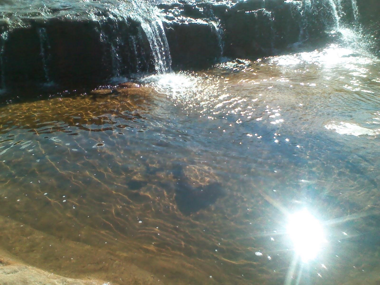 Primer Recorrido en campo de la Comunidad de Aprendizaje ... Primer Recorrido en campo de la Comunidad de Aprendizaje ...