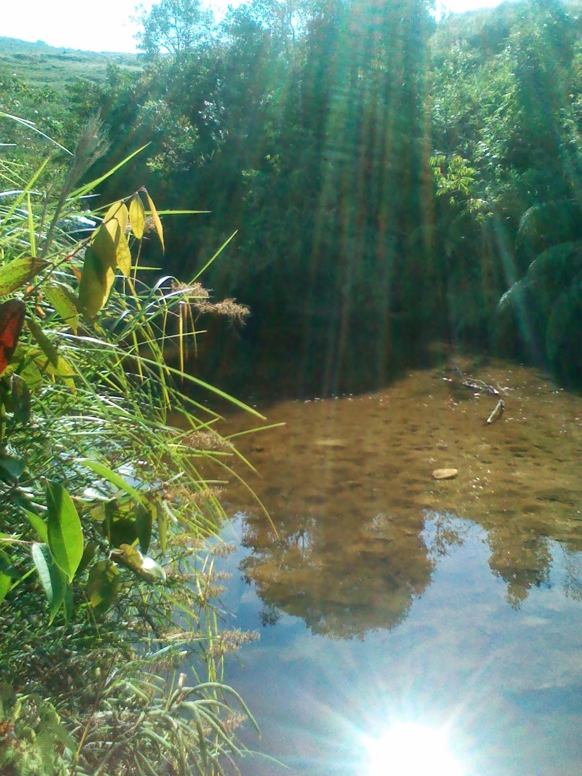 Primer Recorrido en campo de la Comunidad de Aprendizaje ... Primer Recorrido en campo de la Comunidad de Aprendizaje ...