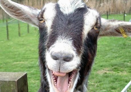 Dos meses para los 101 Kms de Ronda Dos meses para los 101 Kms de Ronda