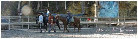 Qué la fuerza te acompañe II caballos diciembre 2014