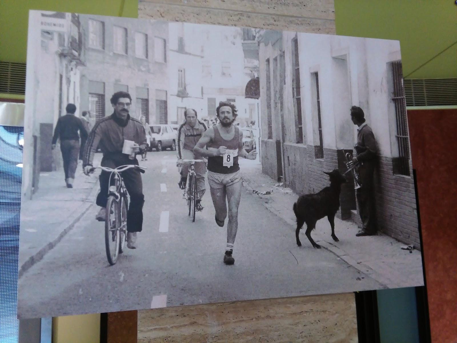 Mi paso por la Feria del Corredor del Maratón de Sevilla