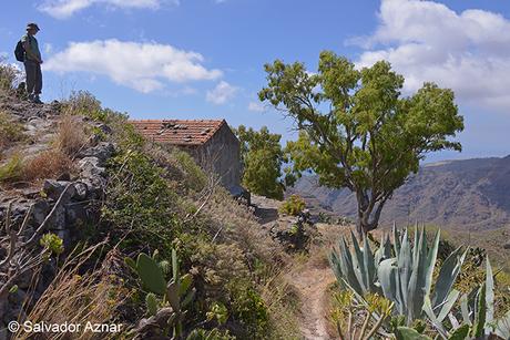 Descubre Tenerife Descubre Tenerife