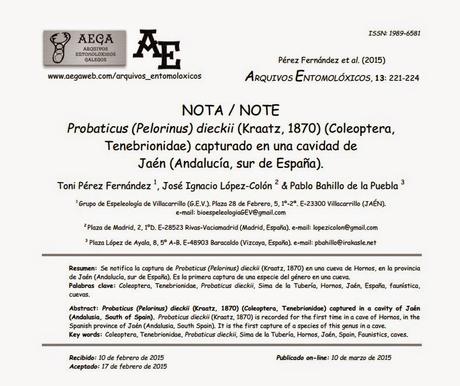 Nuevo artículo publicado Nuevo artículo publicado