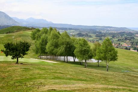 QUINOA - TRIGO BULGUR CON VERDURAS QUINOA - TRIGO BULGUR CON VERDURAS