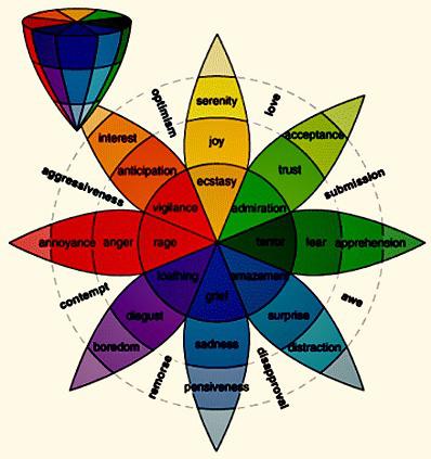 Emociones y competencias emocionales