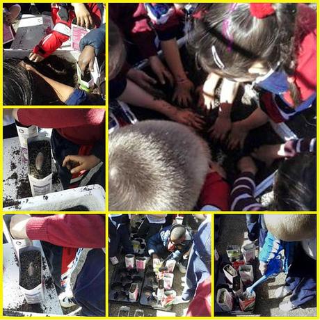 Asociación ARBA. Colaboramos en la recuperación del bosque autóctono Asociación ARBA. Colaboramos en la recuperación del bosque autóctono