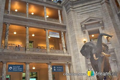 museo-de-ciencias-naturales-washington