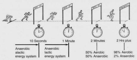 SISTEMAS PARA LA OBTENCIÓN DE ENERGIA MUSCULAR EN EL DEPORTE I SISTEMAS PARA LA OBTENCIÓN DE ENERGIA MUSCULAR EN EL DEPORTE I