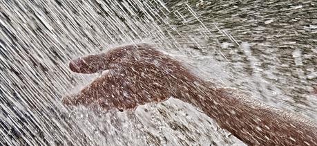 ¿Y si volvemos a bailar bajo la lluvia? ¿Y si volvemos a bailar bajo la lluvia?