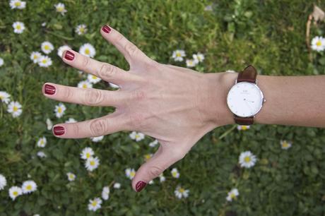 My free time IMG_3974