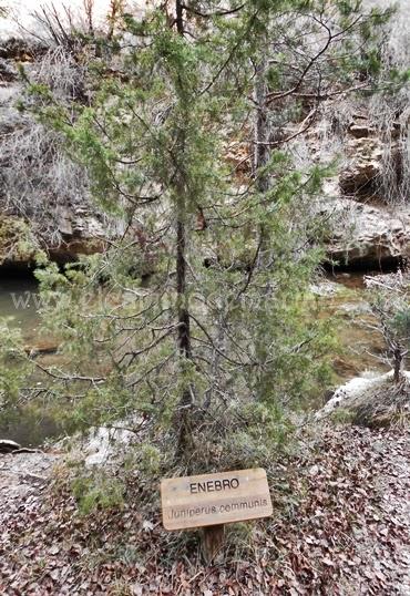 Senderismo de los sentidos en Albarracín, la cascada de Calomarde