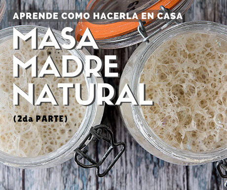 Cómo hacer masa madre natural (II parte) Cómo hacer masa madre natural (II parte)