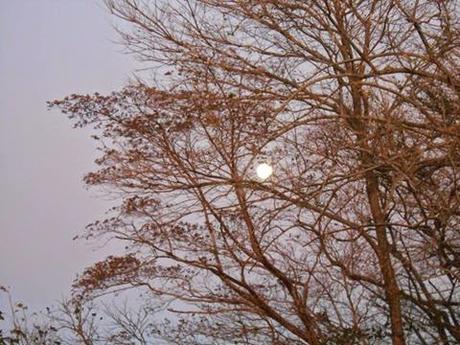 Taller de Creación Literaria, Don Chico... Taller de Creación Literaria, Don Chico...