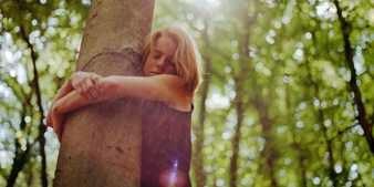 Abrazar un árbol Abrazar un árbol