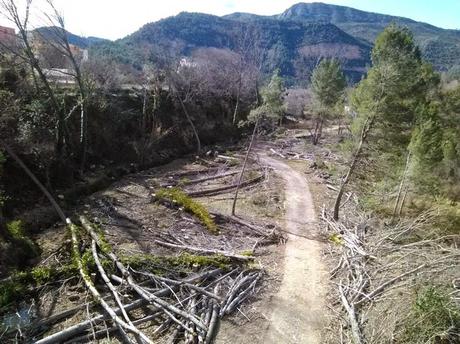 Petición en Change.org para Restaurar La Ribera del Mijares en Cirat