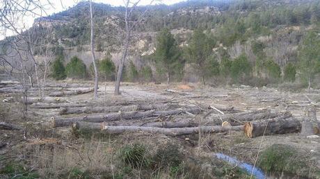 Petición en Change.org para Restaurar La Ribera del Mijares en Cirat Petición en Change.org para Restaurar La Ribera del Mijares en Cirat