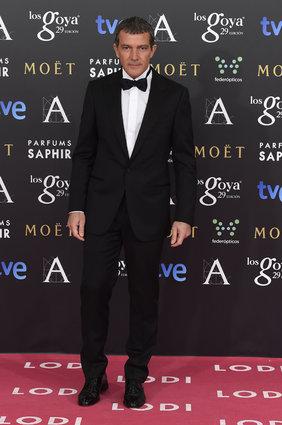Los Goya 2015: Chicos. Los Goya 2015: Chicos.