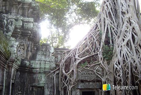 Tomb Raider en el Templo Ta Prohm Templo Ta Prohm en Camboya