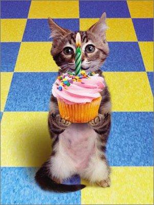 Un Gatito, perfecto regalo para comenzar tu cumpleaños cumpleanos-un-gatito-regalo