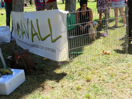 Feria de Primavera Feria de Primavera