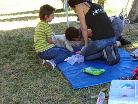 Feria de Primavera Feria de Primavera
