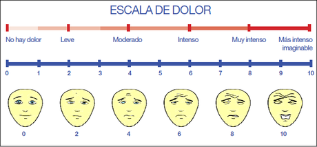 Identifican área cerebral que mide la intensidad del dolor Identifican área cerebral que mide la intensidad del dolor