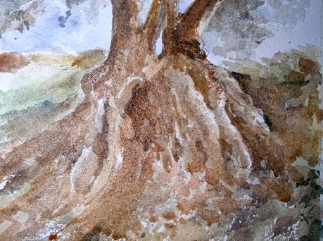 Paso a paso. Acuarela de un olivo Paso a paso. Acuarela de un olivo