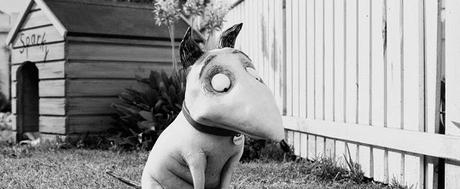 Film still from Frankenweenie (2012) / Walt Disney Pictures frankenweenie sparky chispas tim burton garden house dog