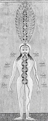 LOS NÚMEROS 4, 5 Y 6 LOS NÚMEROS 4, 5 Y 6