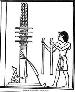 LOS NÚMEROS 4, 5 Y 6 LOS NÚMEROS 4, 5 Y 6