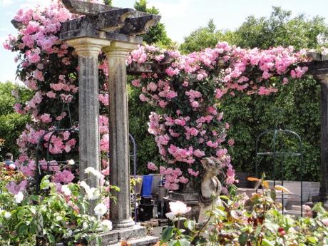 El jardín sostenible (II): proyecto Earth Kind Roses, las rosas que 'no se cuidan y, aún así, florecen'. El jardín sostenible (II): proyecto Earth Kind Roses, las rosas que 'no se cuidan y, aún así, florecen'.