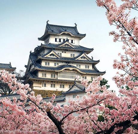 HANAMI (花見): El florecimiento de los cerezos en Japón Japon Osaka