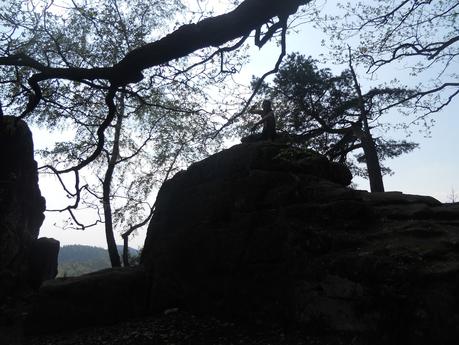 ¿Cómo se realiza adecuadamente el entrenamiento en altura? ¿Cómo se realiza adecuadamente el entrenamiento en altura?