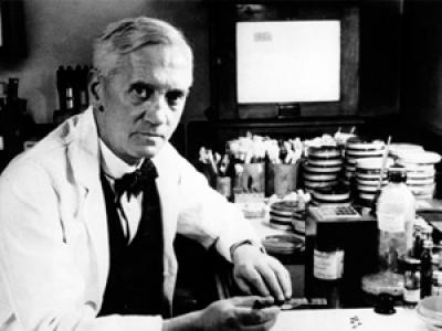 Frases históricas de Alexander Fleming Frases históricas de Alexander Fleming