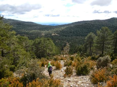 De Fredes al Tossal dels tres Reis (1.356 m). Castellón