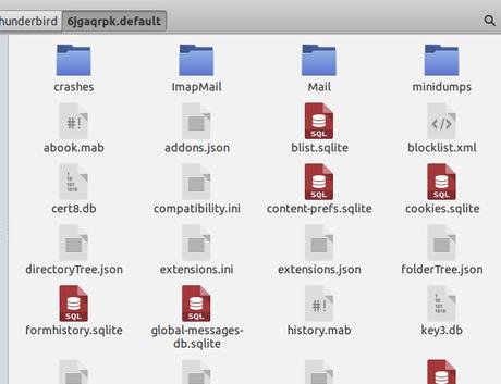 Como hacer y restaurar una copia de la configuracion de Thunderbird en Ubuntu