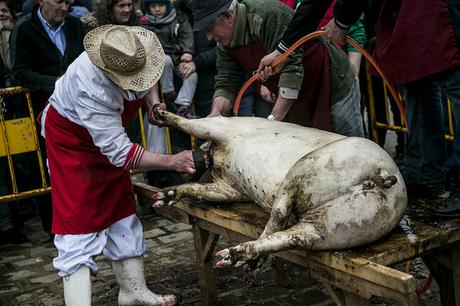 Fiesta de la Matanza de Liérganes