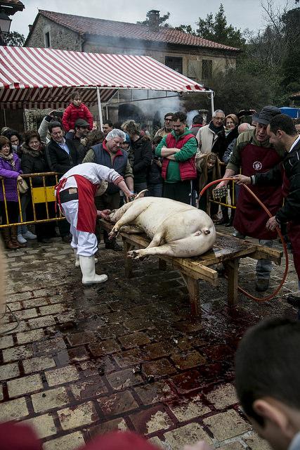 Fiesta de la Matanza de Liérganes