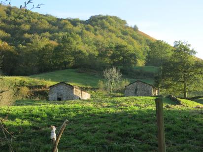 Sobando sobaos en El Valle del Pas