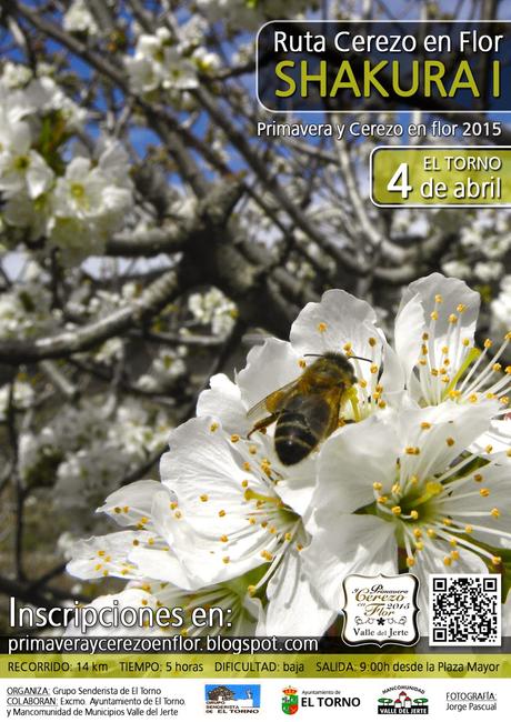 Primavera y Cerezo en Flor en el Valle del Jerte. Próximas citas deportivas