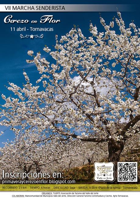 Primavera y Cerezo en Flor en el Valle del Jerte. Próximas citas deportivas