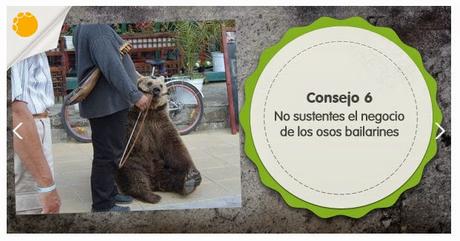 CAUSES:  TURISMO RESPONSABLE