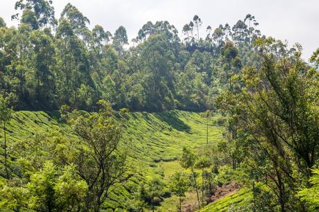Amoldándose al terreno Amoldándose al terreno